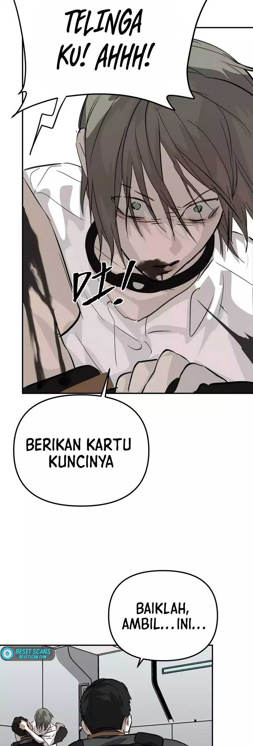 One Piece Chapter 246 - halaman 11