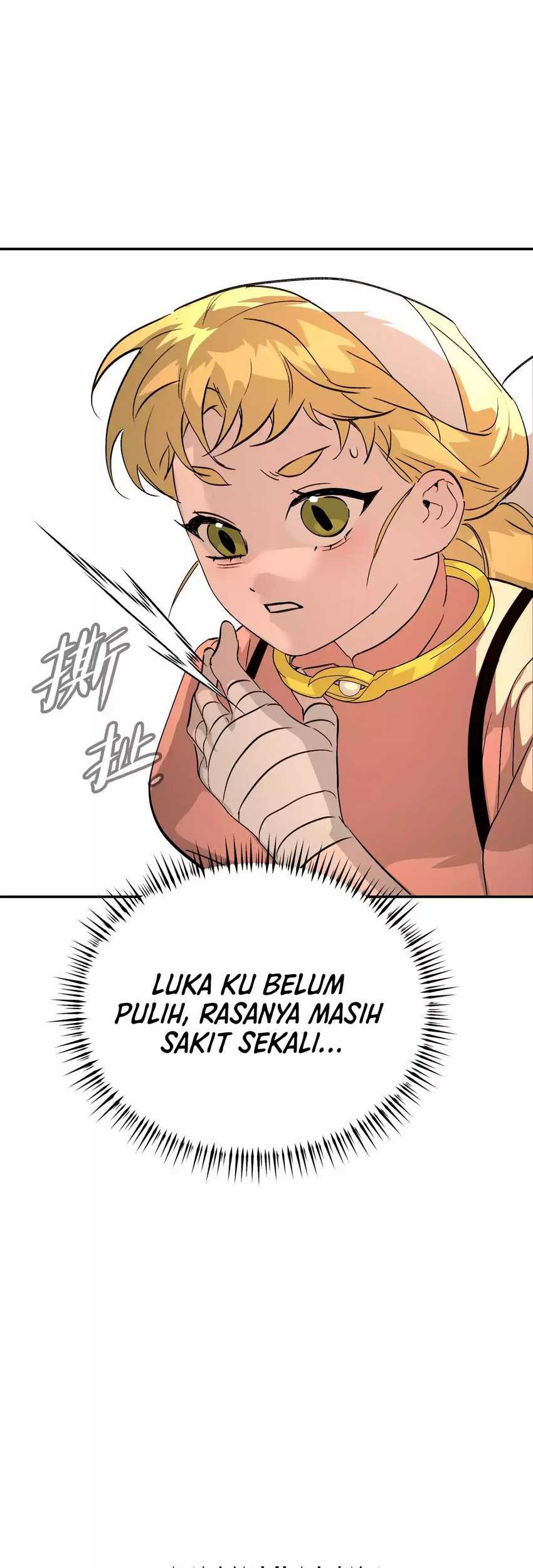 One Piece Chapter 248 - halaman 9