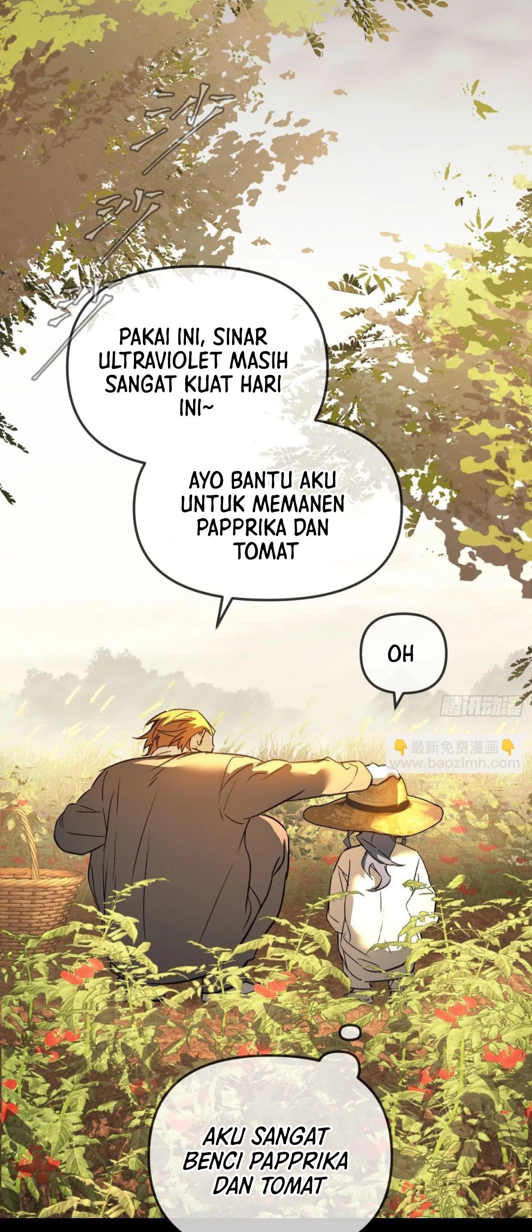 One Piece Chapter 252 - halaman 3