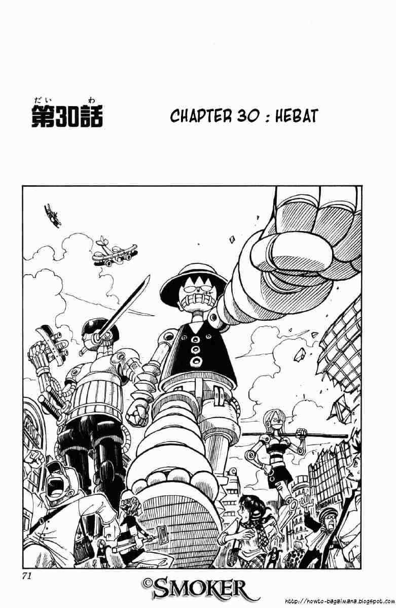 One Piece Chapter 30 - halaman 1