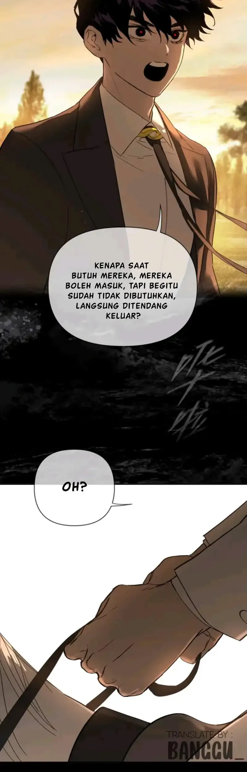 One Piece Chapter 305 - halaman 8