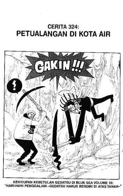 One Piece Chapter 324 - halaman 1