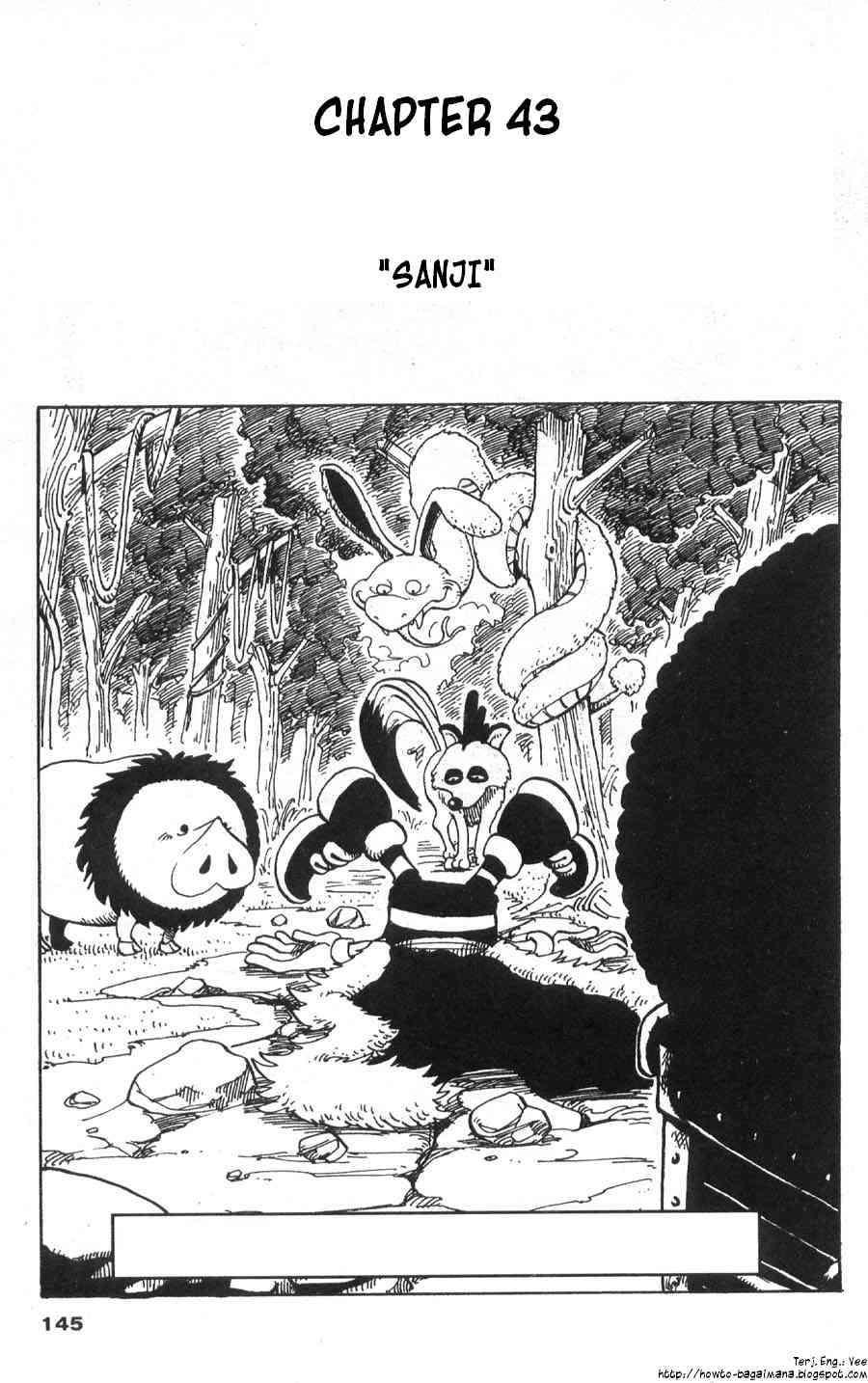 One Piece Chapter 43 - halaman 1