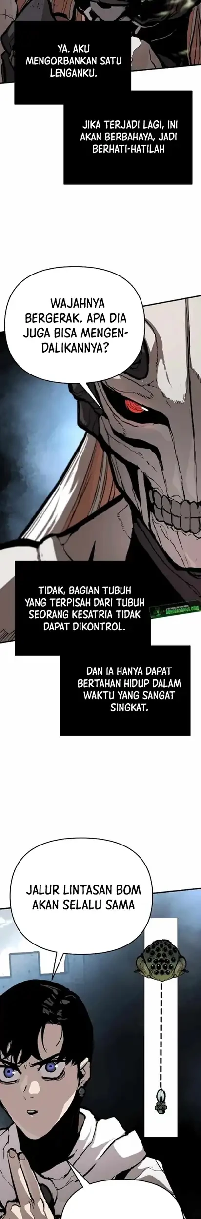One Piece Chapter 486 - halaman 3