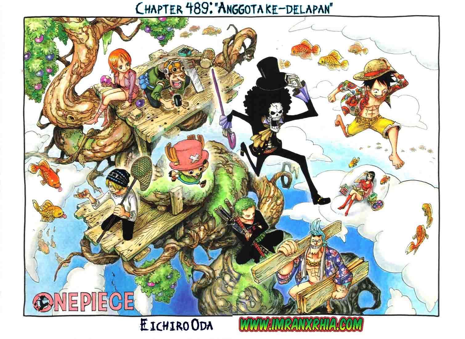 One Piece Chapter 489 - halaman 1