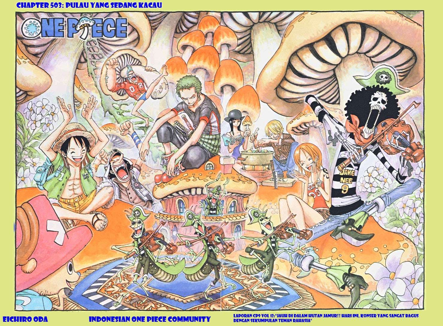 One Piece Chapter 503 - halaman 1
