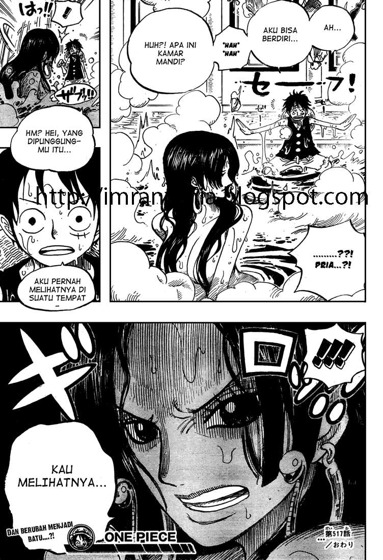 One Piece Chapter 517 - halaman 19
