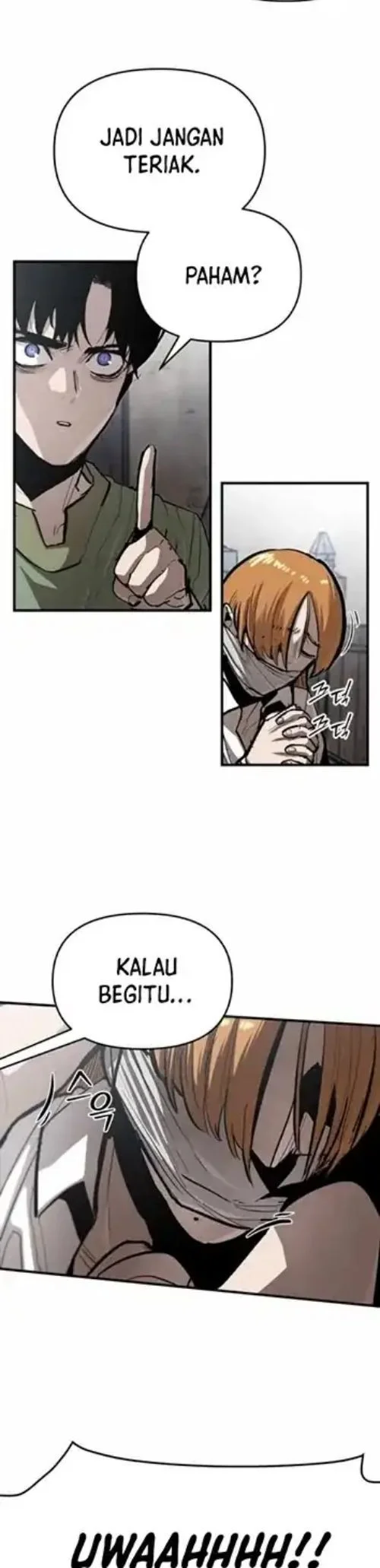 One Piece Chapter 523 - halaman 12