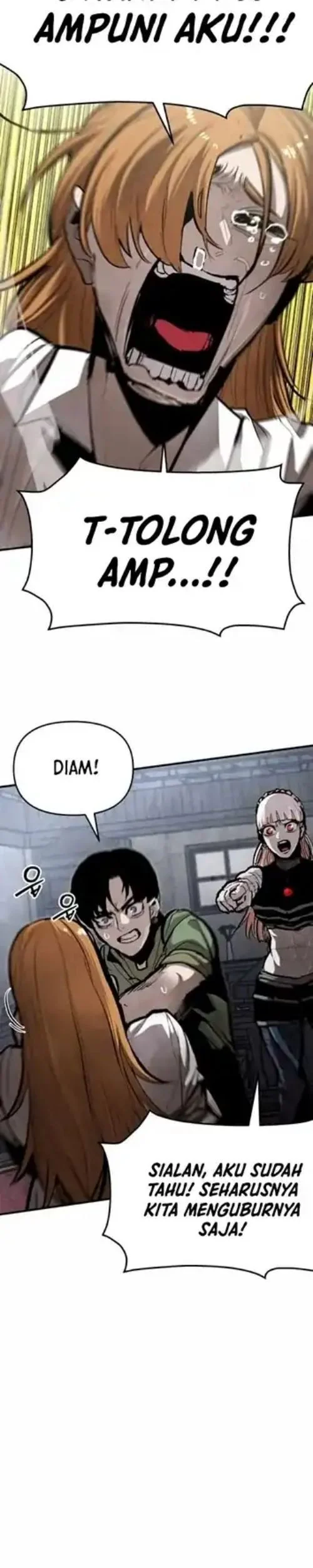One Piece Chapter 523 - halaman 13