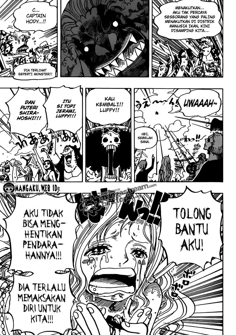 One Piece Chapter 648 - halaman 13