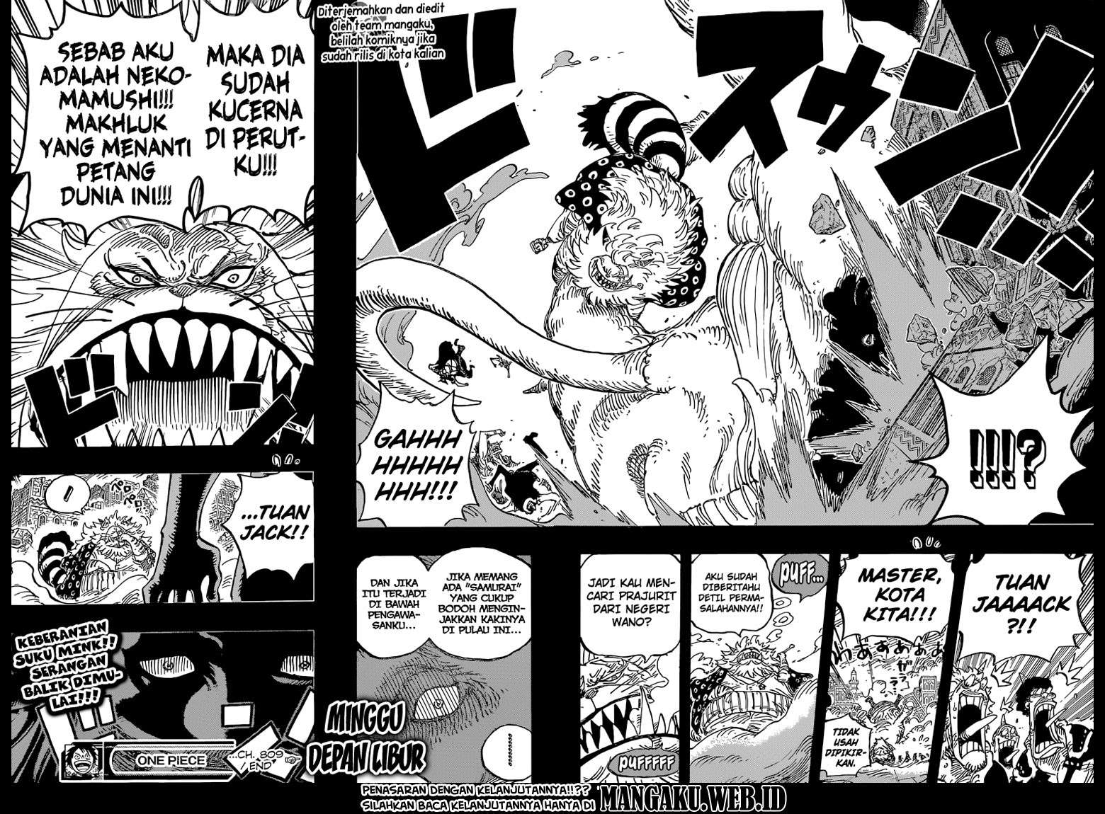 One Piece Chapter 809 - halaman 18