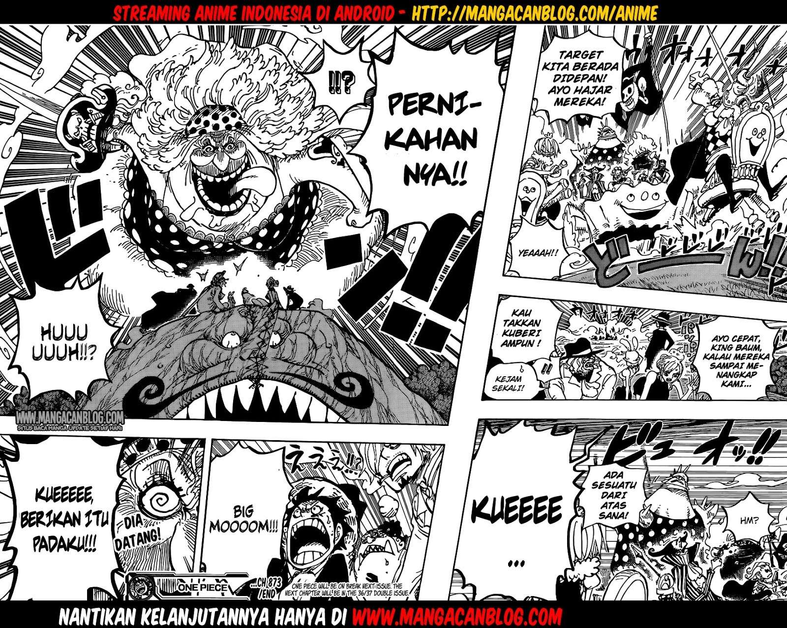 One Piece Chapter 873 - halaman 17