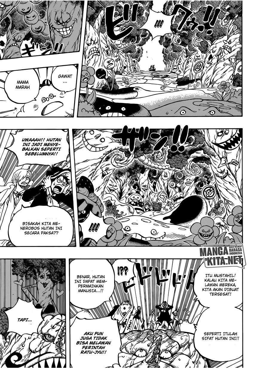 One Piece Chapter 874 - halaman 15