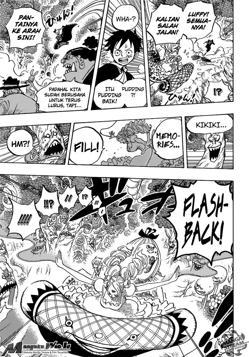 One Piece Chapter 876 - halaman 13