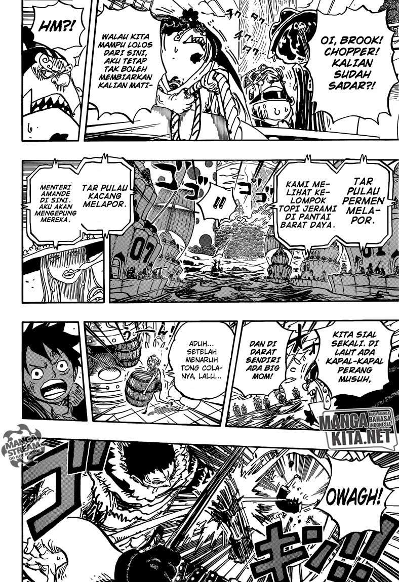 One Piece Chapter 877 - halaman 14