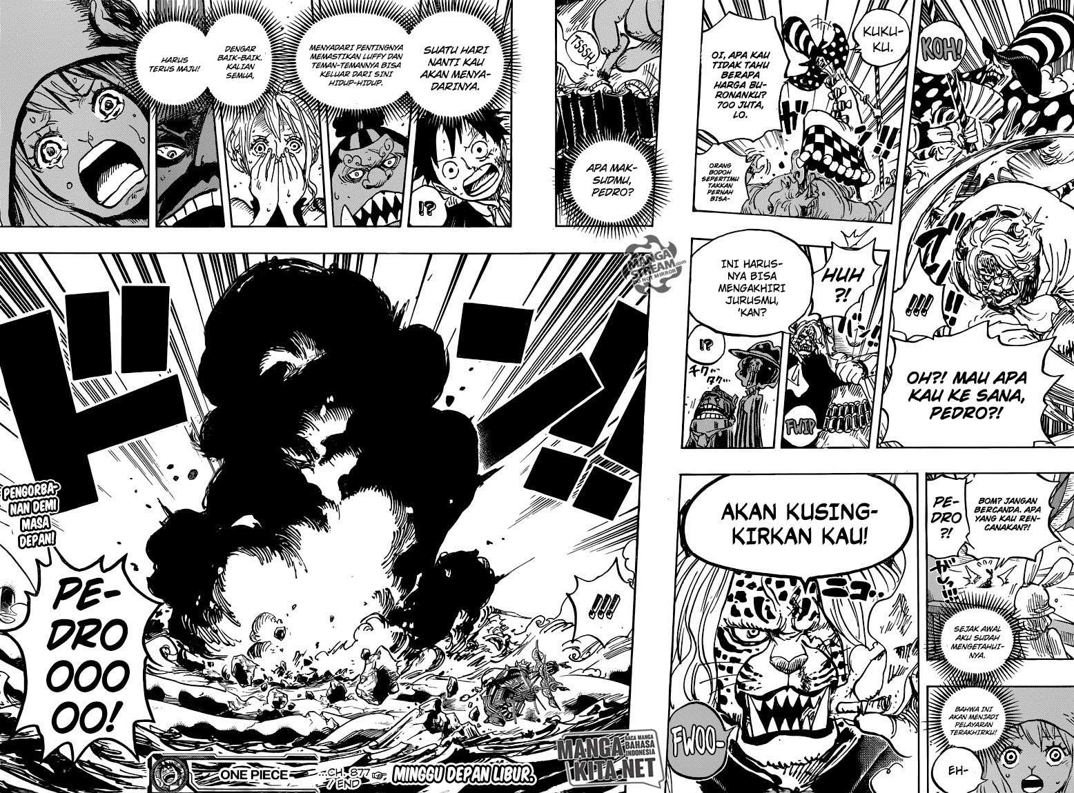 One Piece Chapter 877 - halaman 16