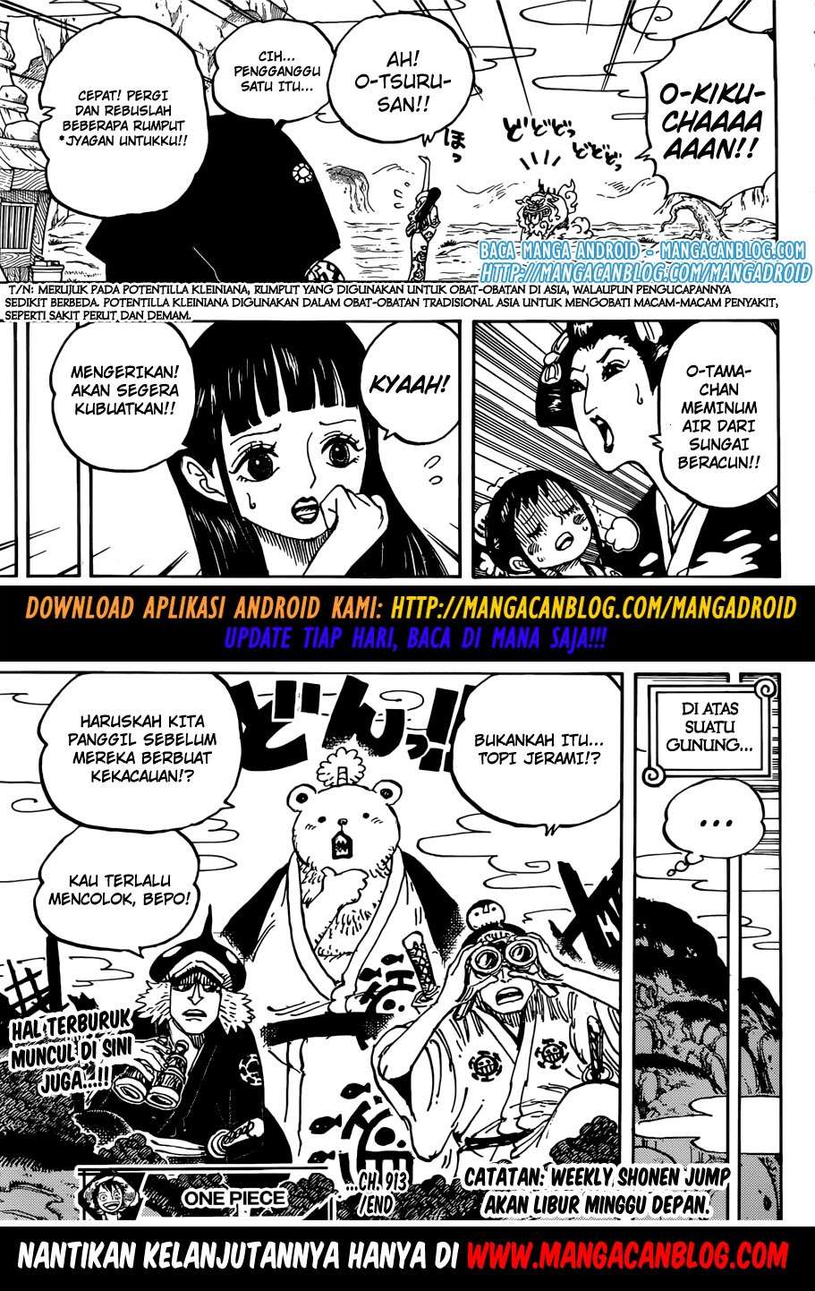 One Piece Chapter 913 - halaman 16