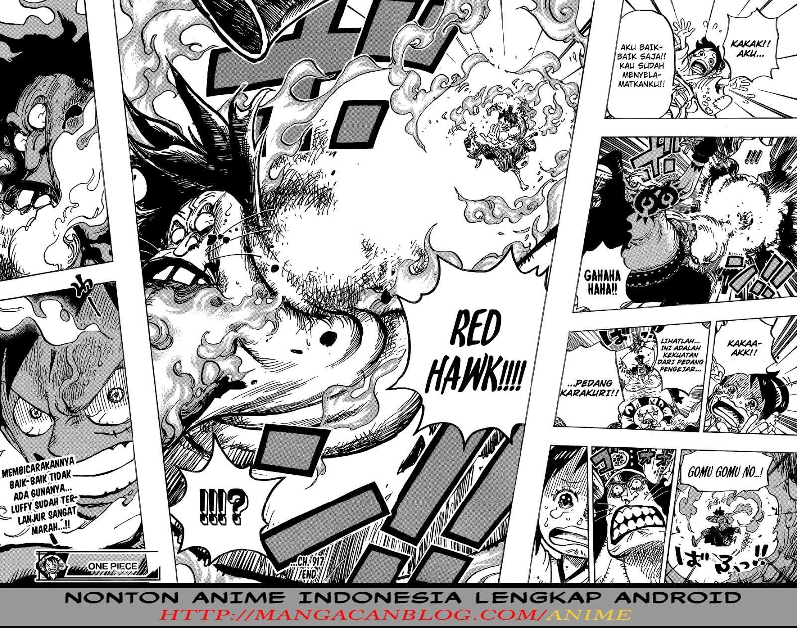 One Piece Chapter 917 - halaman 16