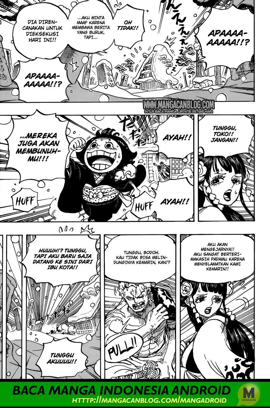 One Piece Chapter 941 - halaman 14