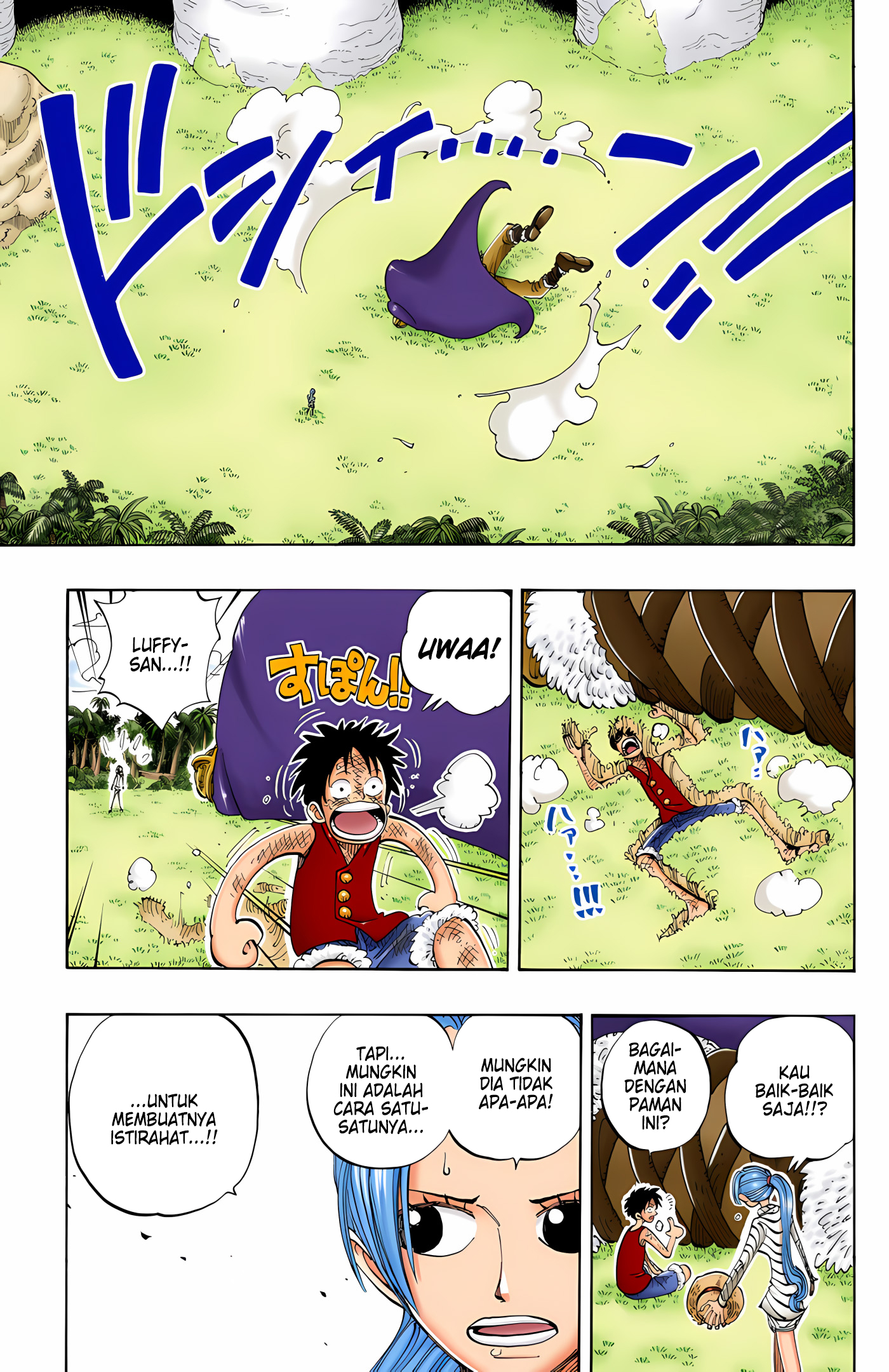 One Piece (Official Colored) Chapter 118 - halaman 13