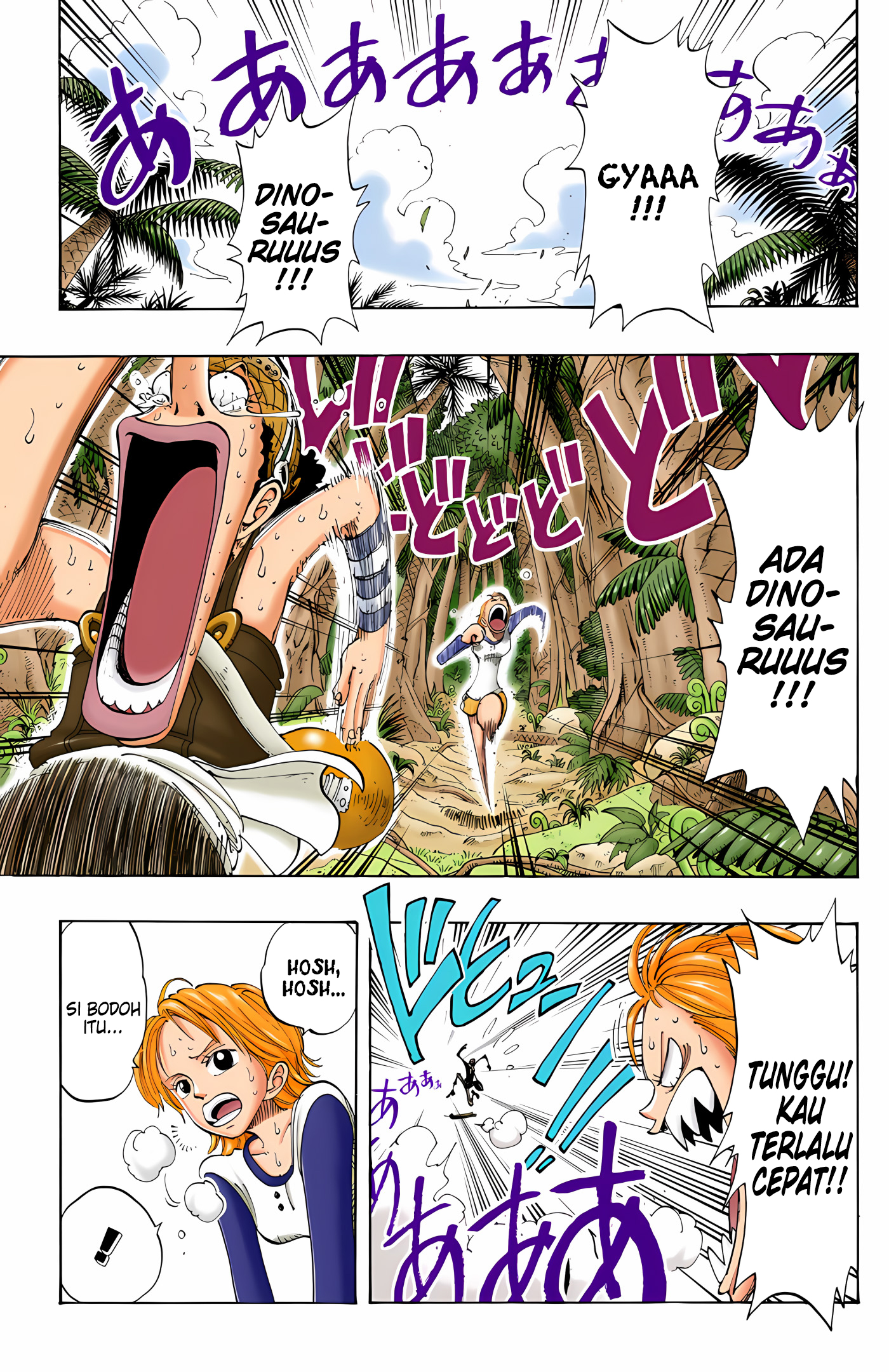One Piece (Official Colored) Chapter 119 - halaman 13