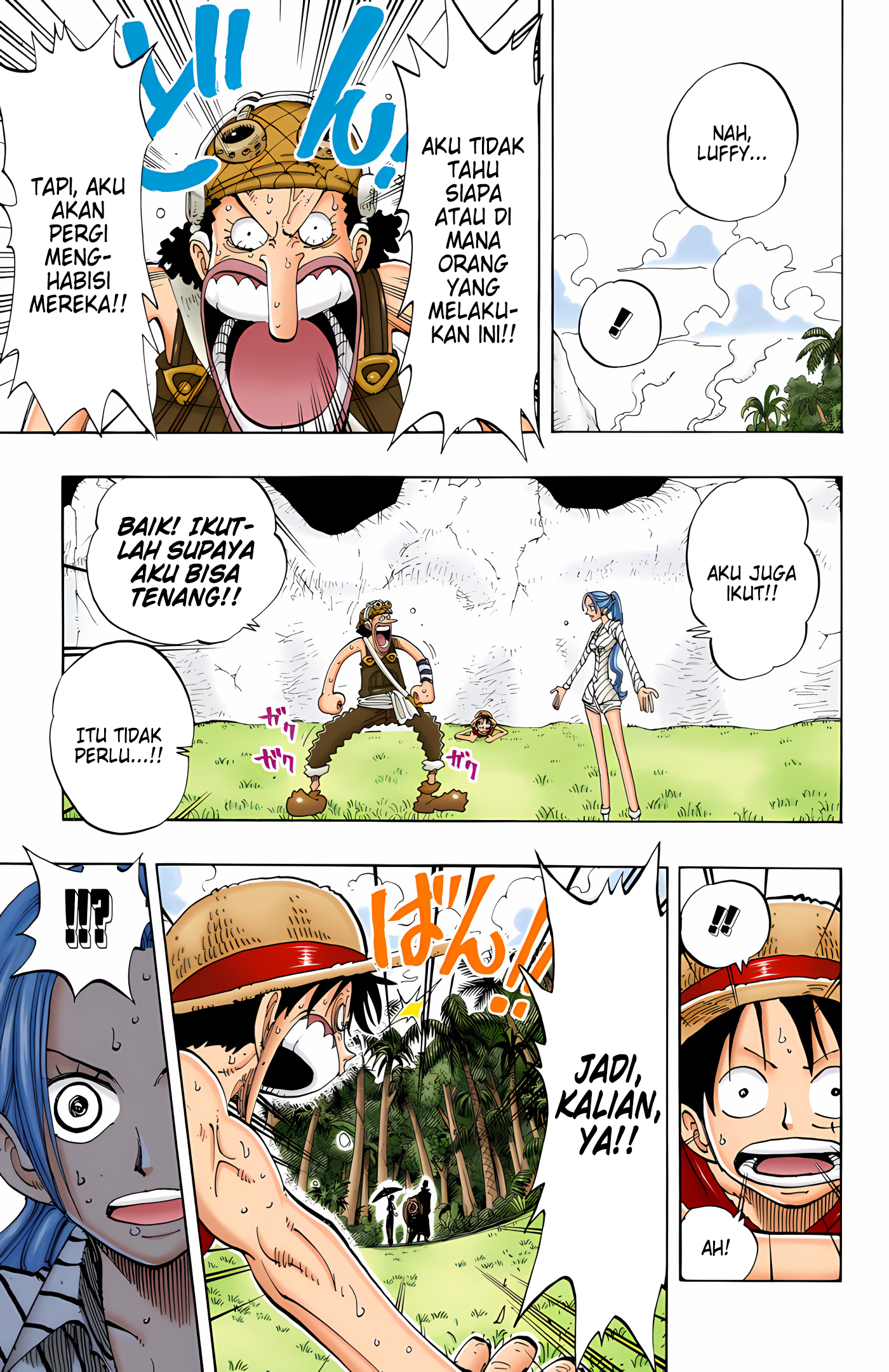 One Piece (Official Colored) Chapter 120 - halaman 11