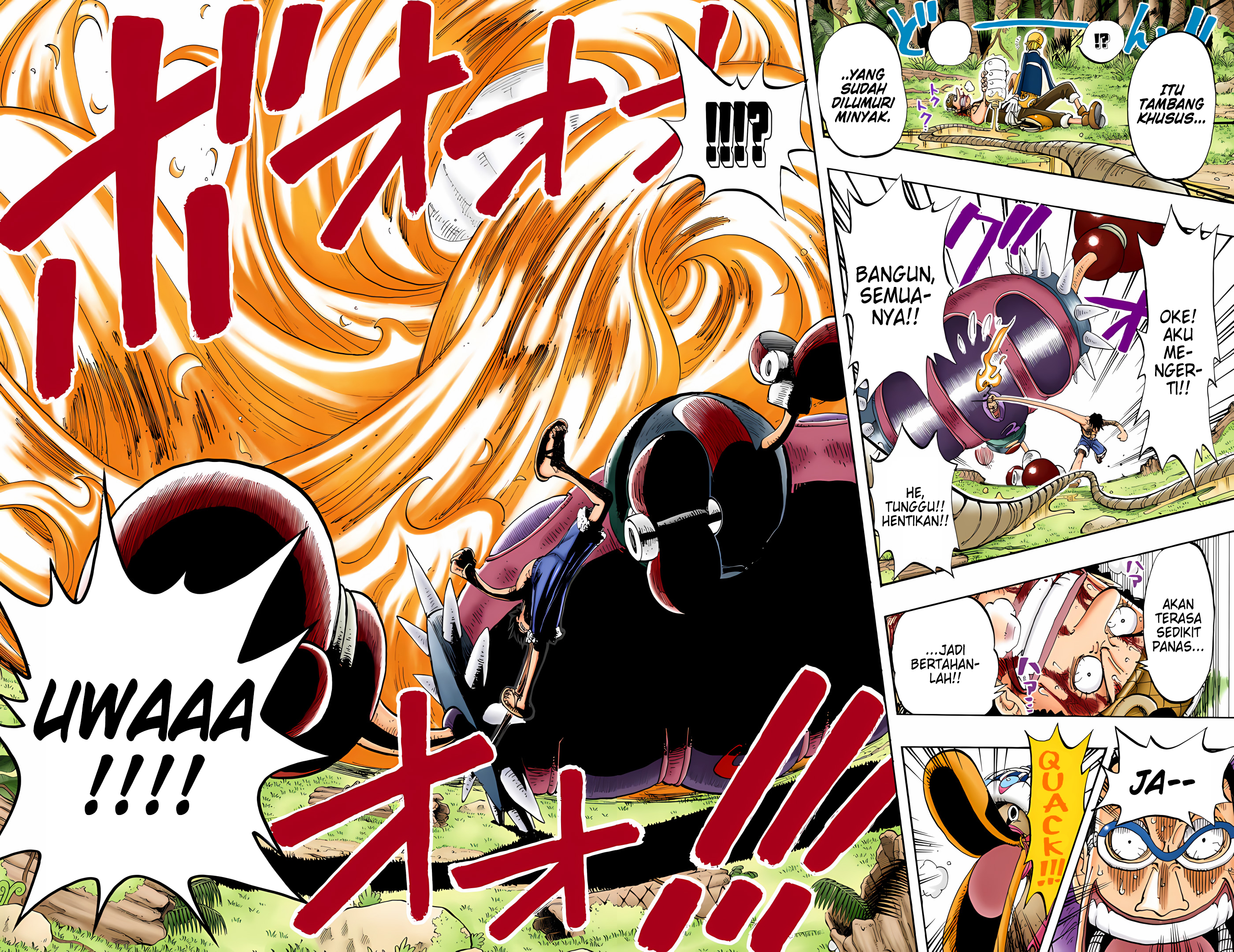 One Piece (Official Colored) Chapter 125 - halaman 17