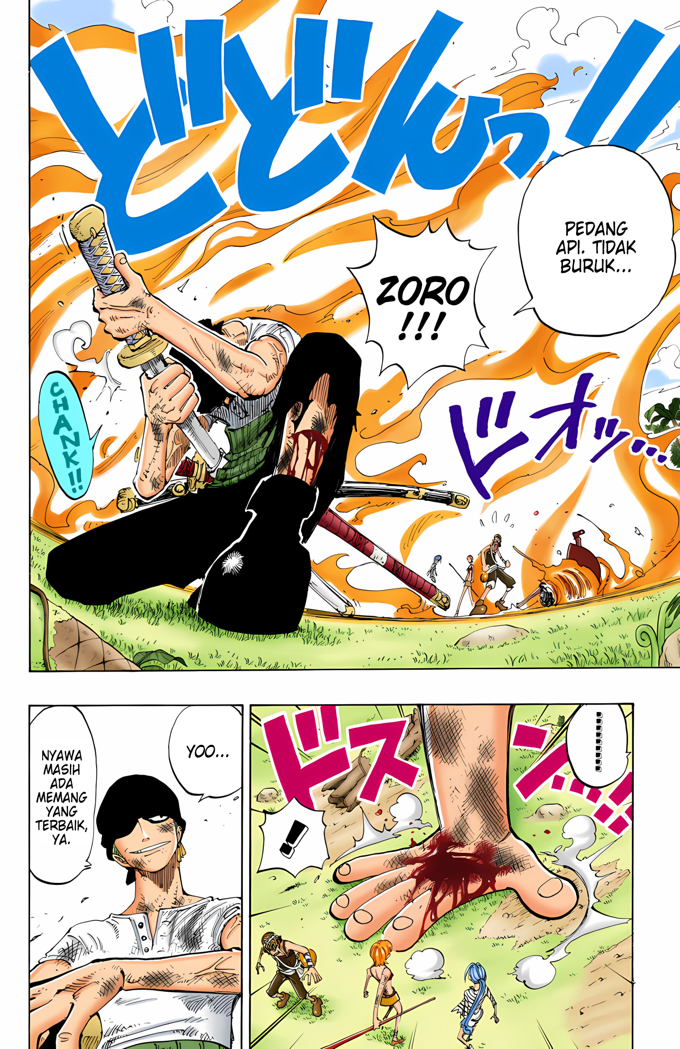 One Piece (Official Colored) Chapter 126 - halaman 10