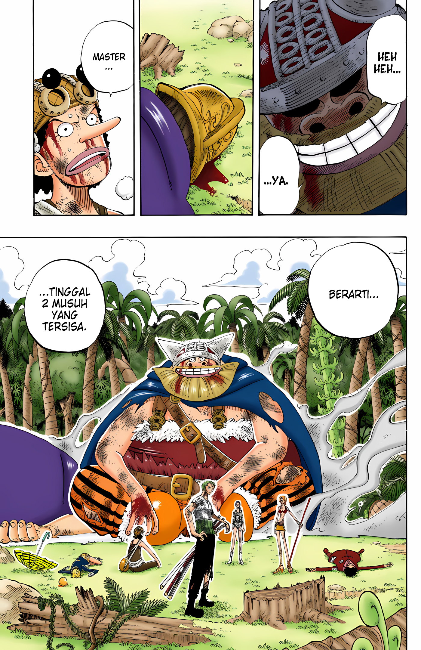 One Piece (Official Colored) Chapter 126 - halaman 11