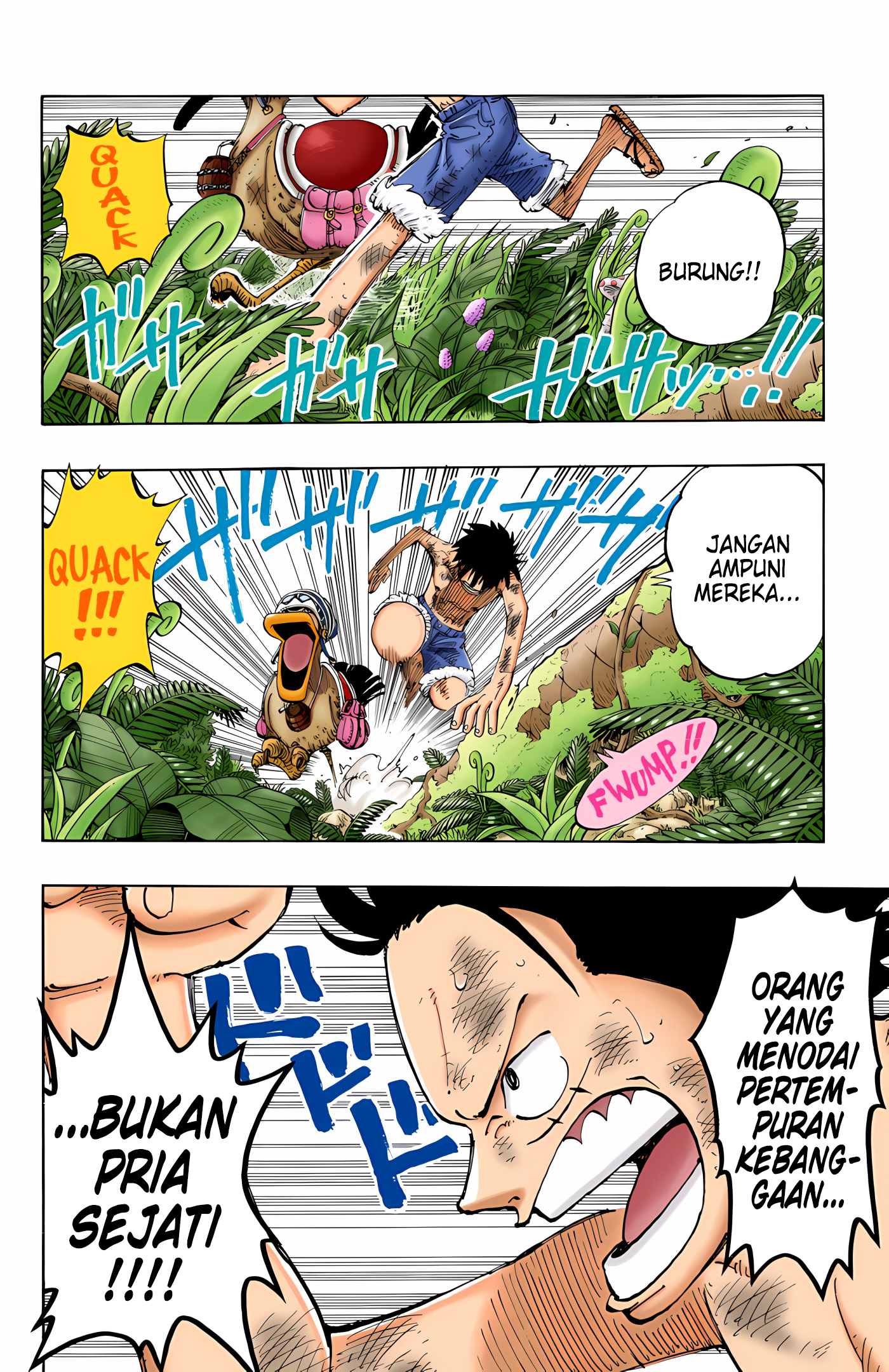 One Piece (Official Colored) Chapter 126 - halaman 12