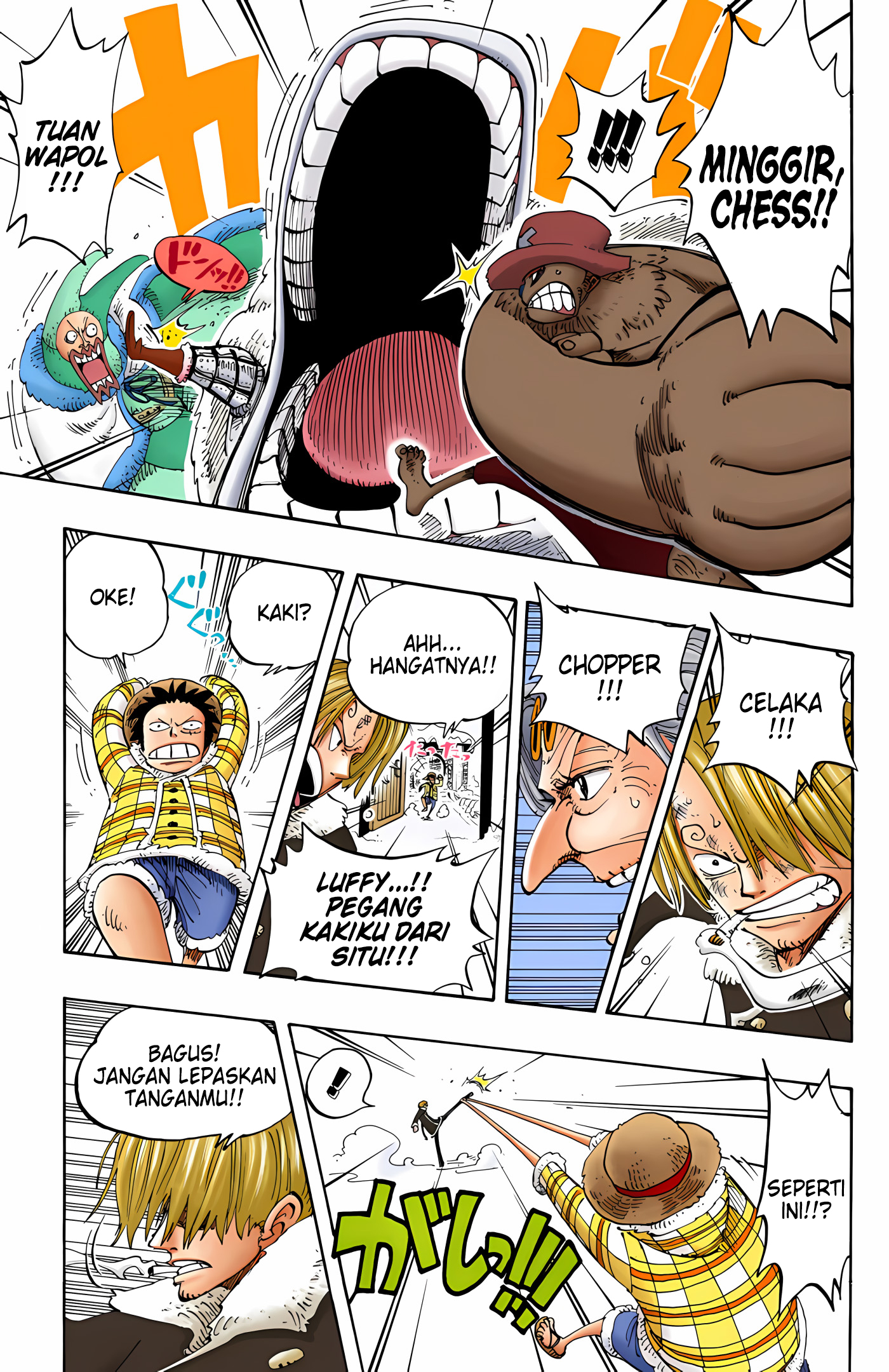 One Piece (Official Colored) Chapter 146 - halaman 19
