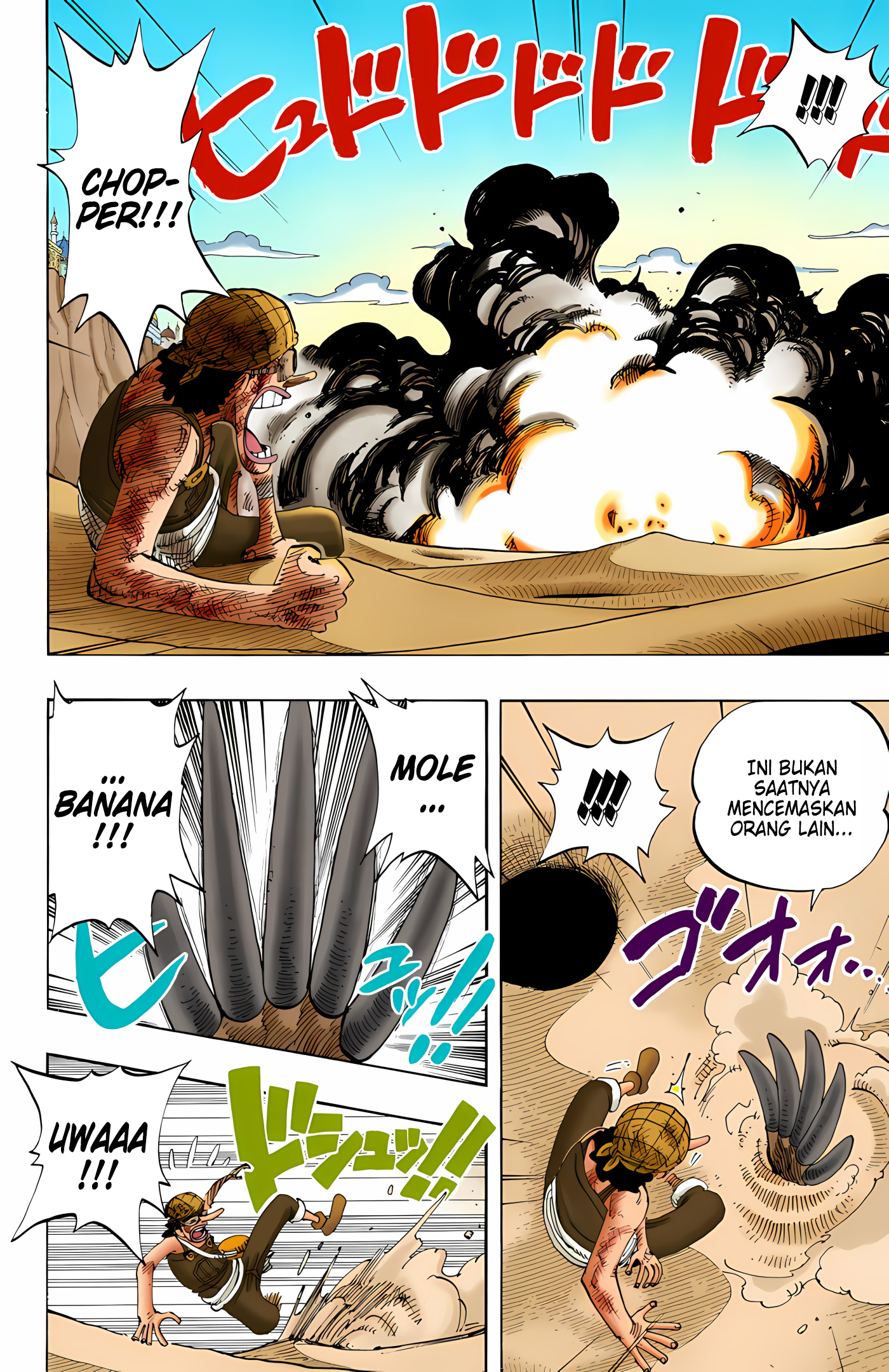 One Piece (Official Colored) Chapter 185 - halaman 12