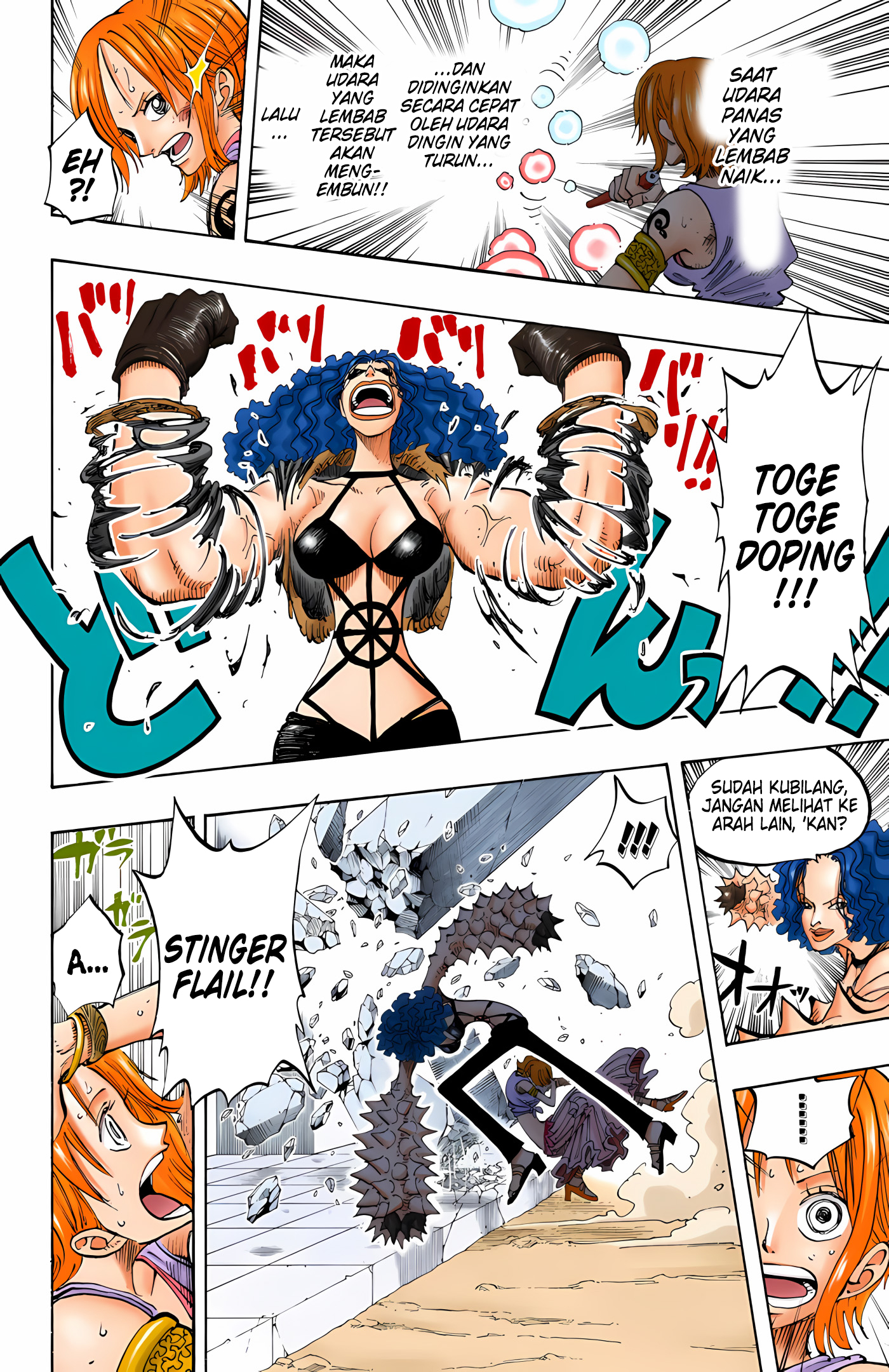 One Piece (Official Colored) Chapter 192 - halaman 14