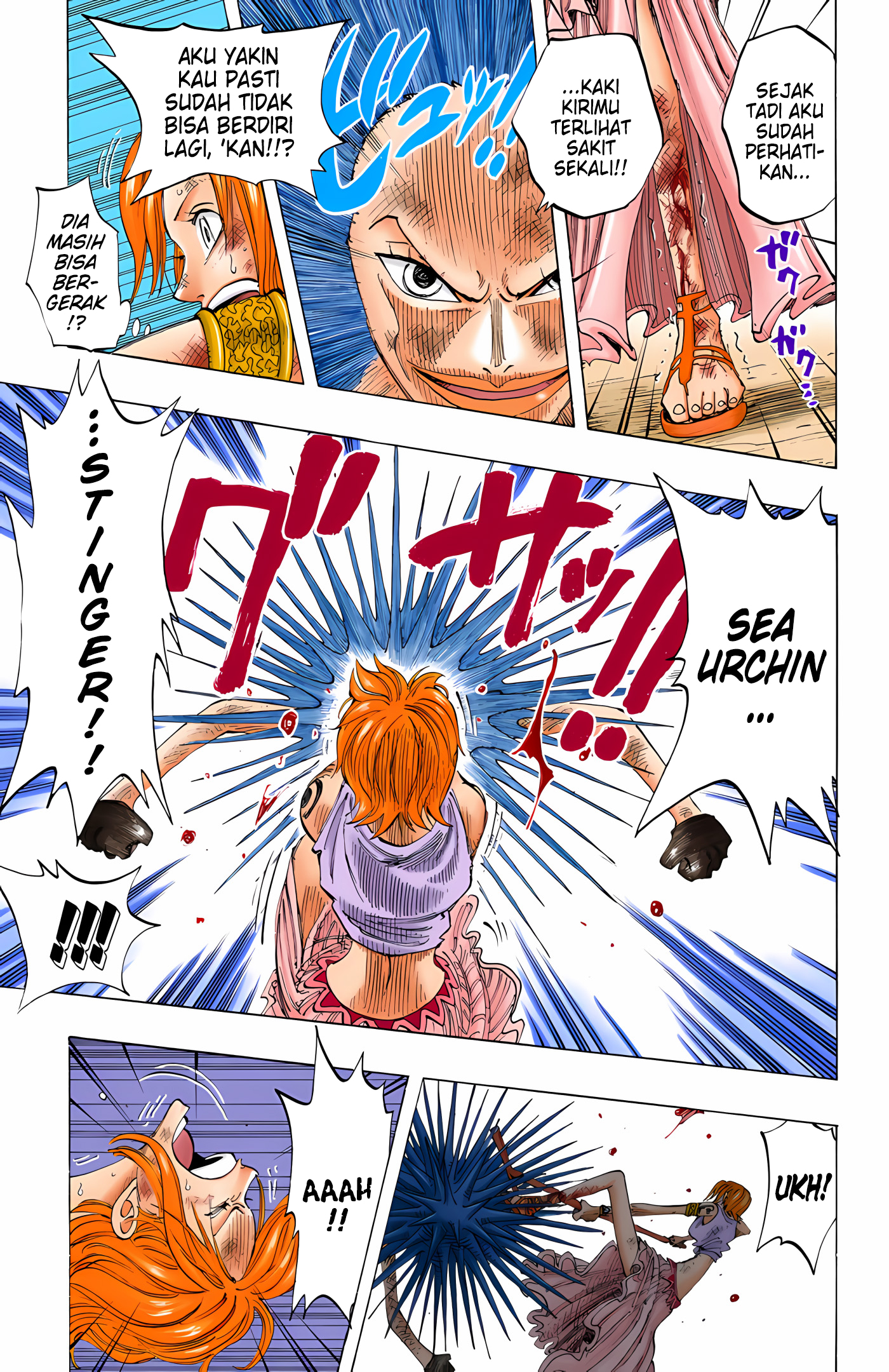 One Piece (Official Colored) Chapter 193 - halaman 3
