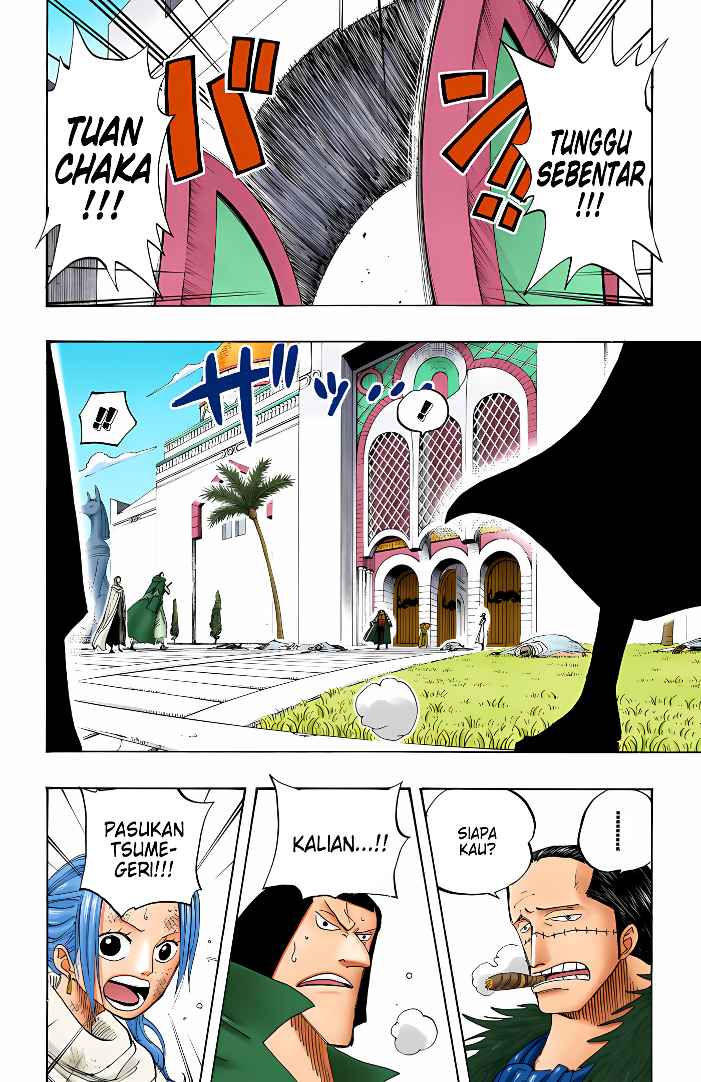 One Piece (Official Colored) Chapter 196 - halaman 6