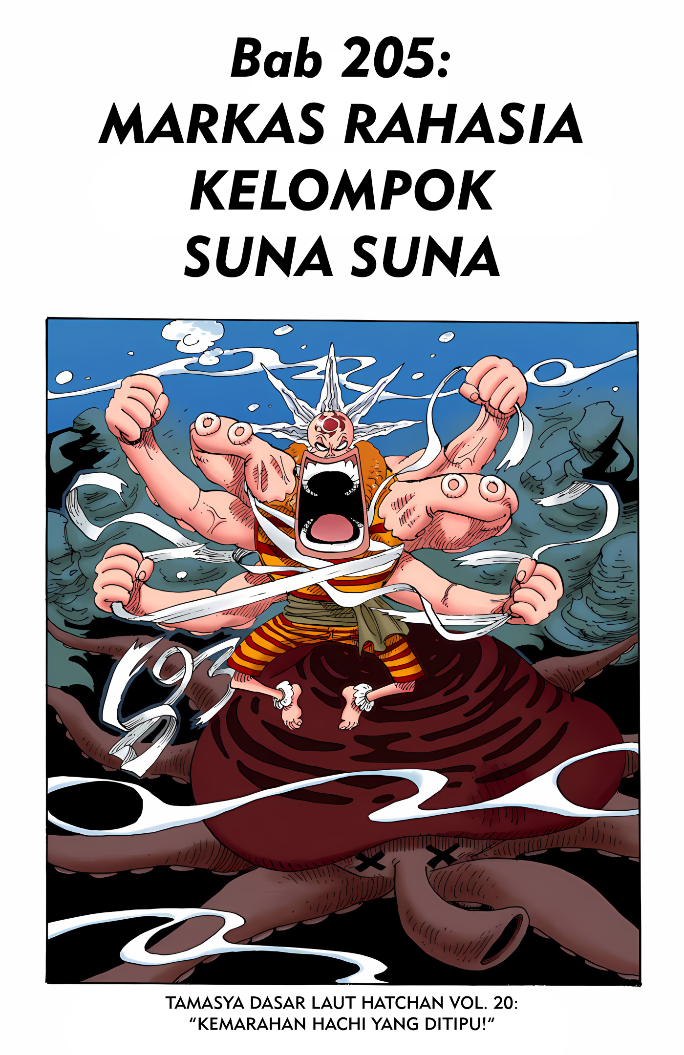 One Piece (Official Colored) Chapter 205 - halaman 1