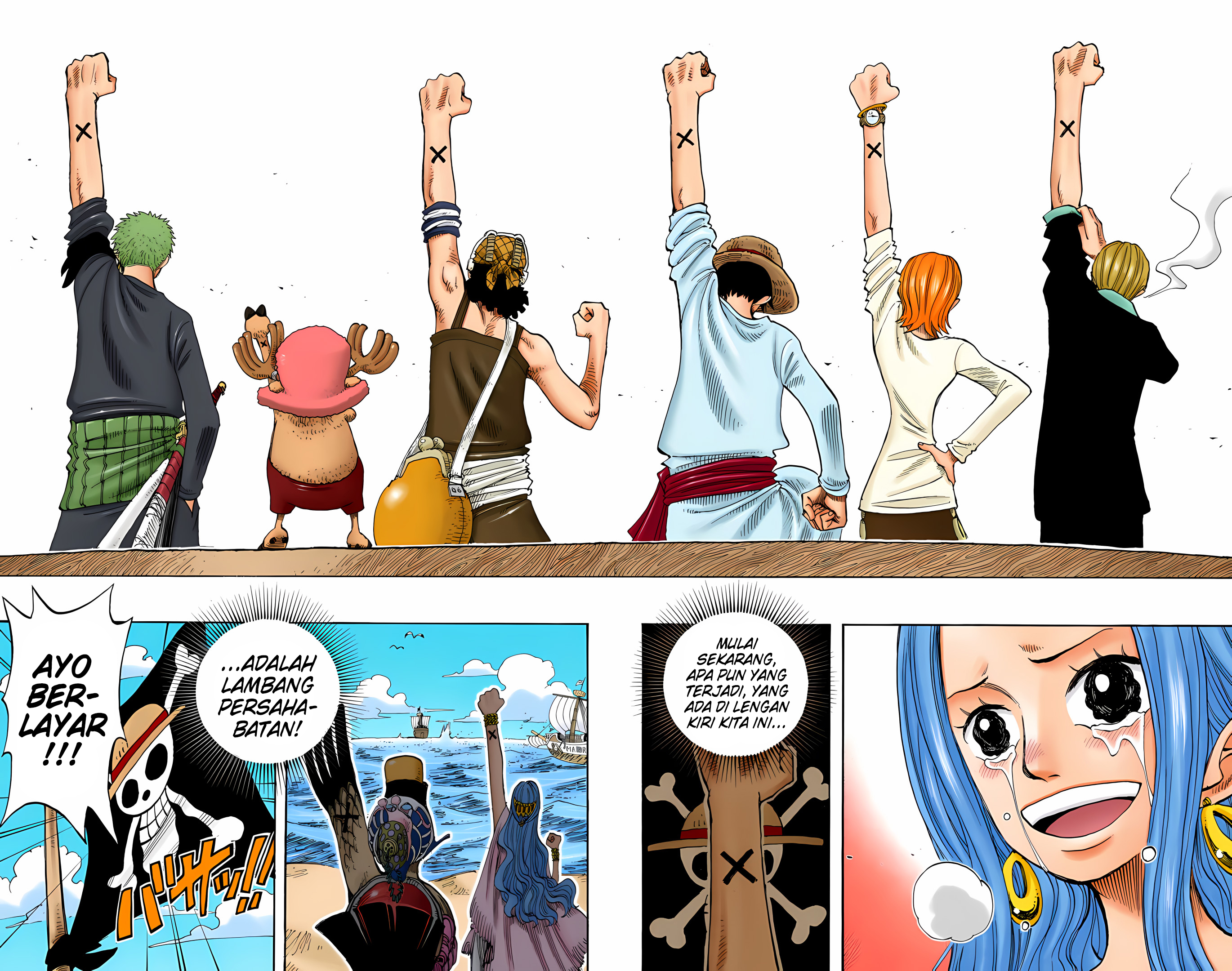 One Piece (Official Colored) Chapter 216 - halaman 17