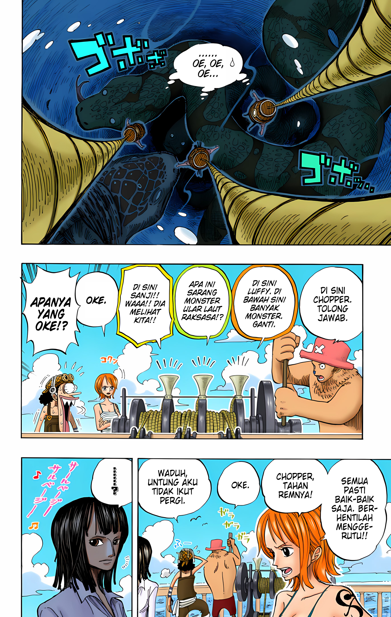 One Piece (Official Colored) Chapter 219 - halaman 12