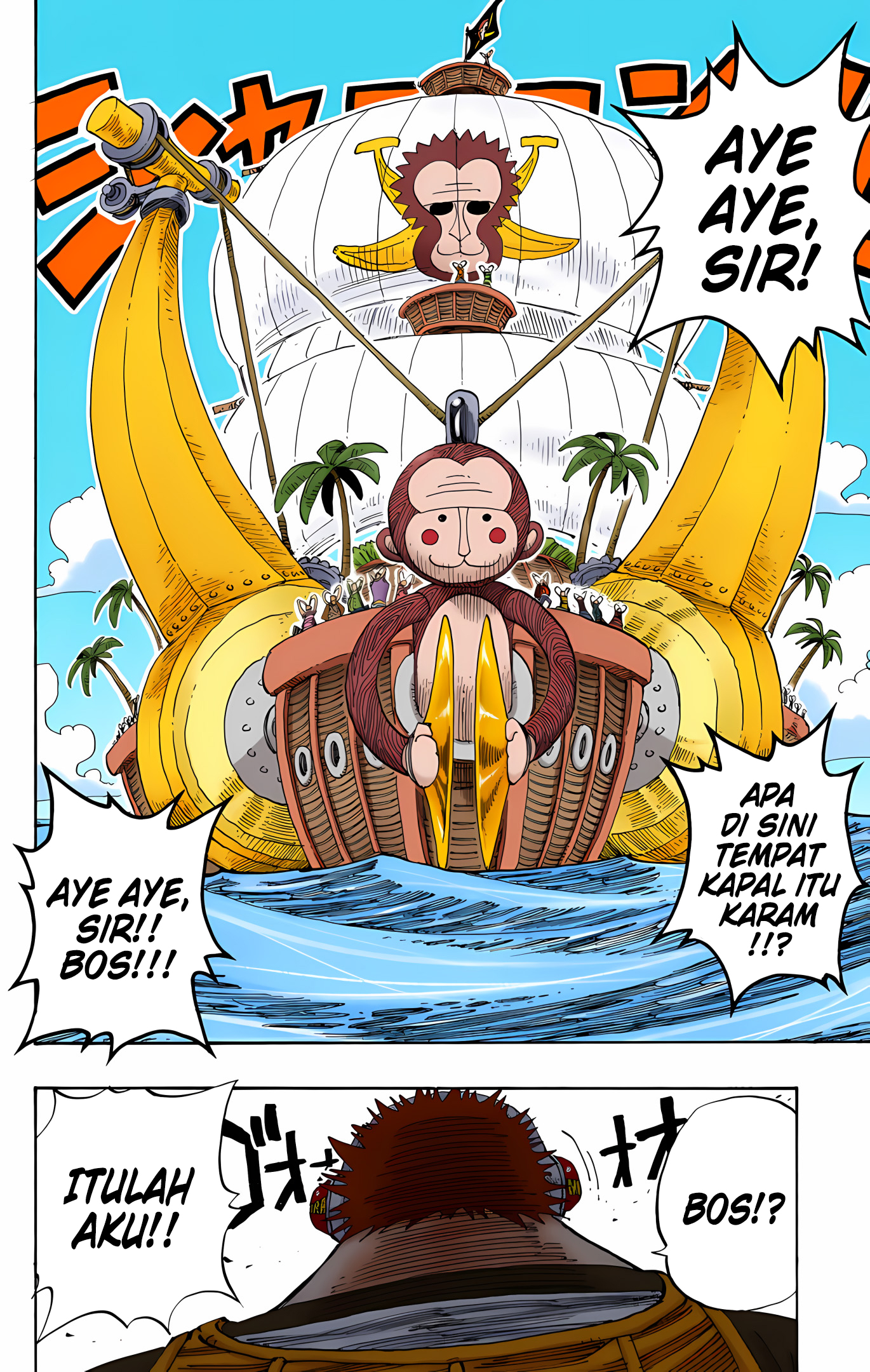 One Piece (Official Colored) Chapter 219 - halaman 14