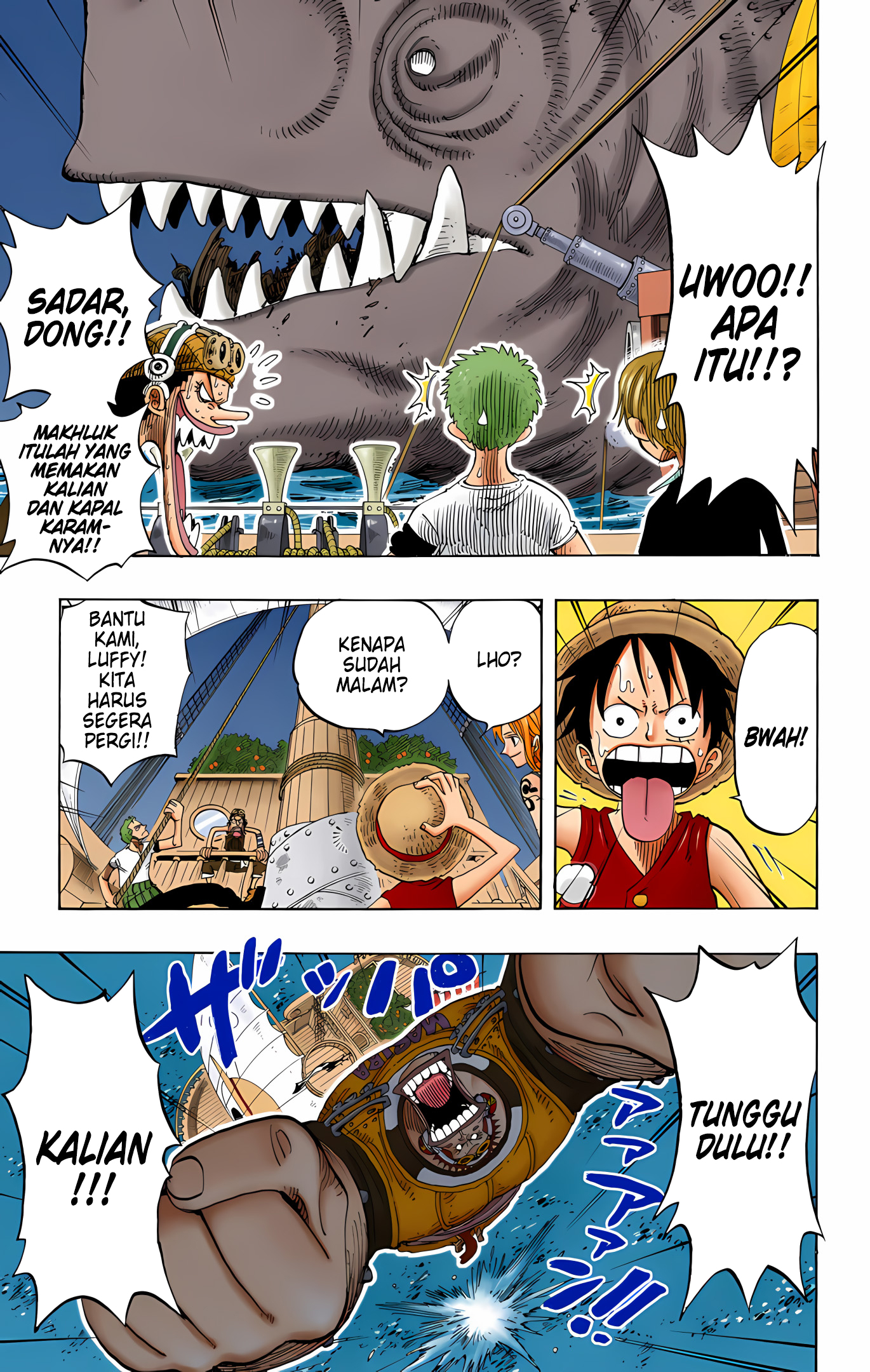 One Piece (Official Colored) Chapter 221 - halaman 10