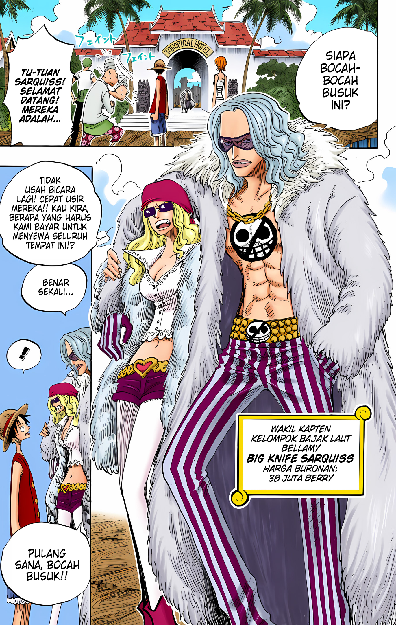 One Piece (Official Colored) Chapter 223 - halaman 11