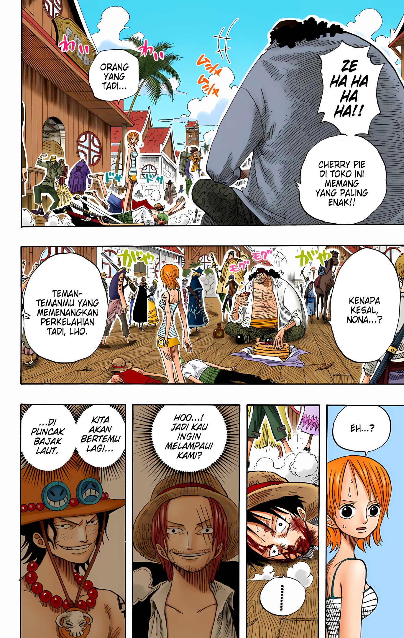 One Piece (Official Colored) Chapter 225 - halaman 10