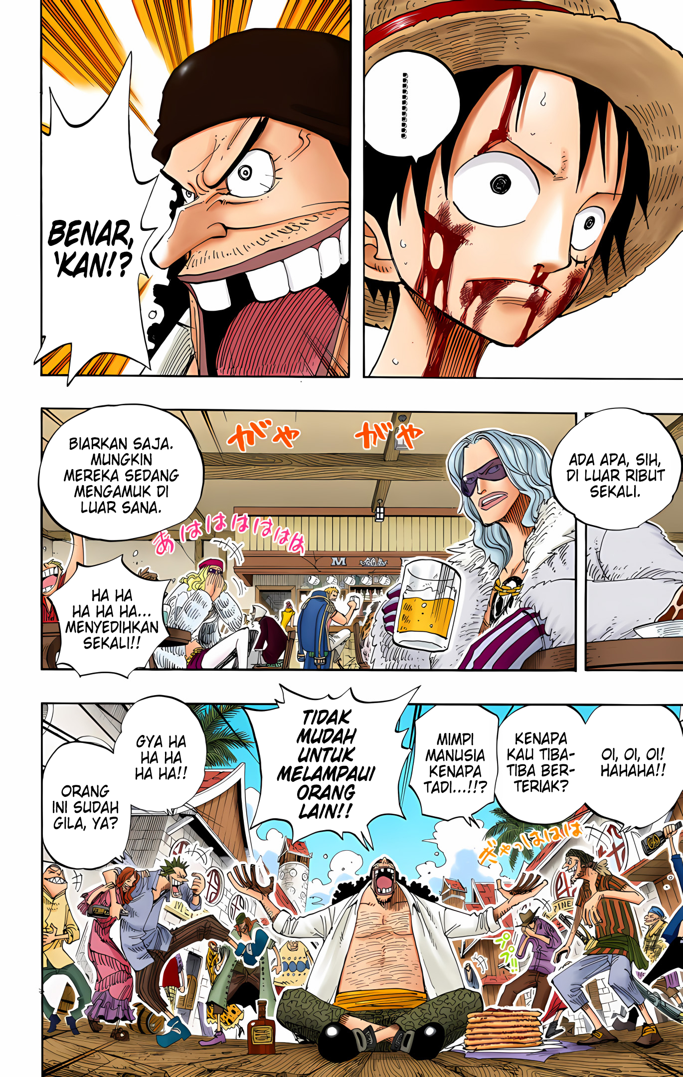 One Piece (Official Colored) Chapter 225 - halaman 13