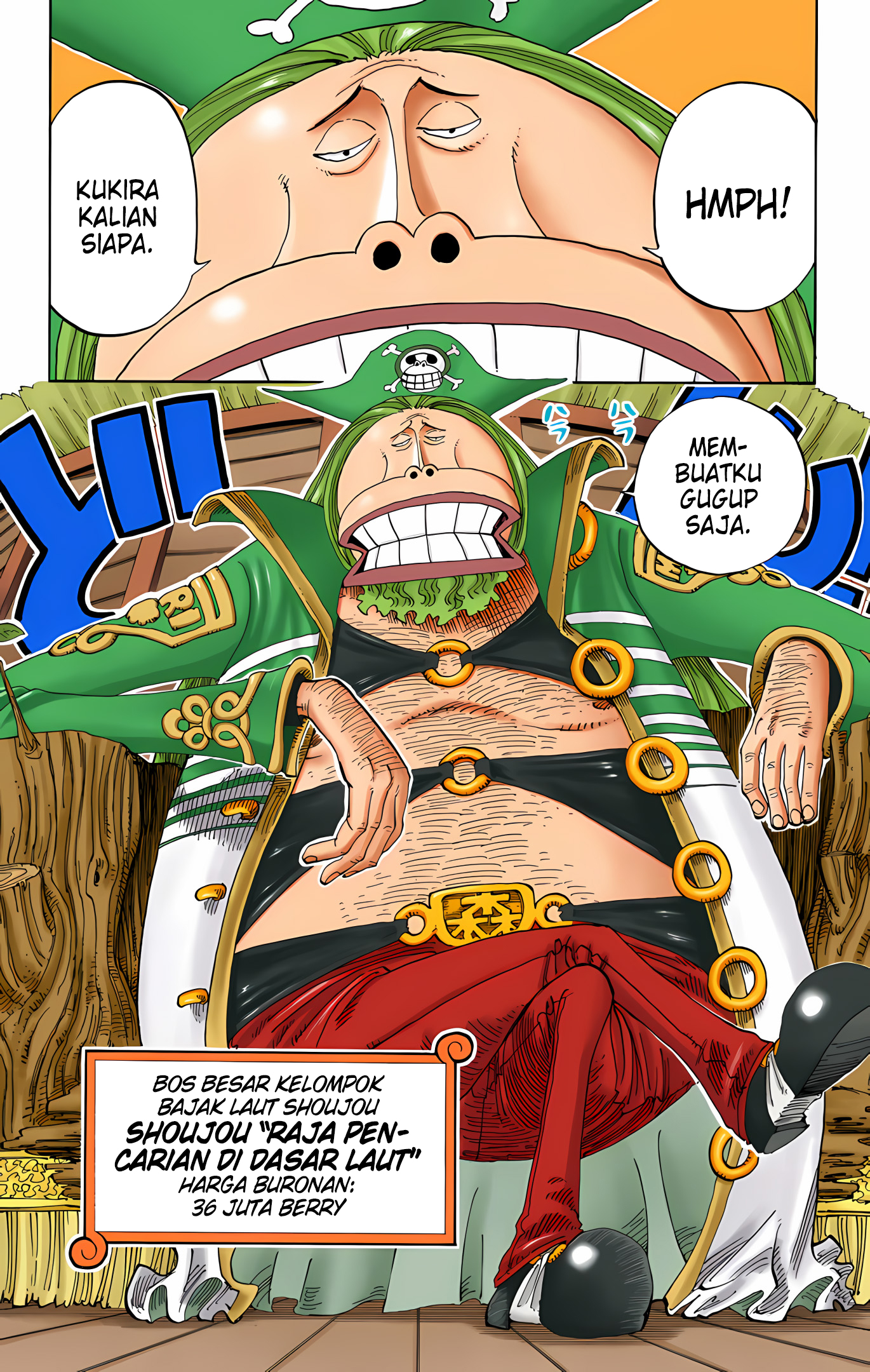 One Piece (Official Colored) Chapter 226 - halaman 12