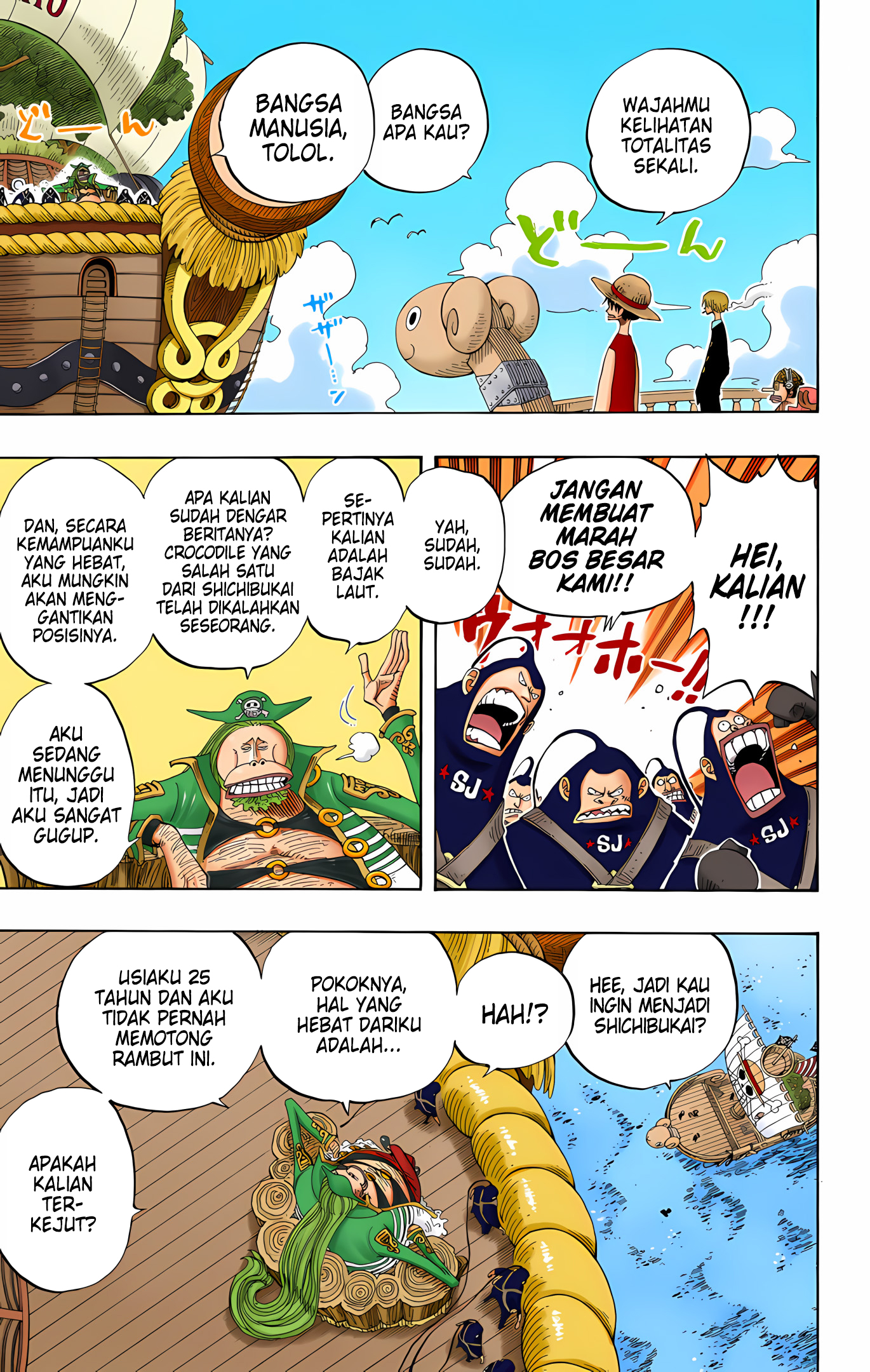 One Piece (Official Colored) Chapter 226 - halaman 13