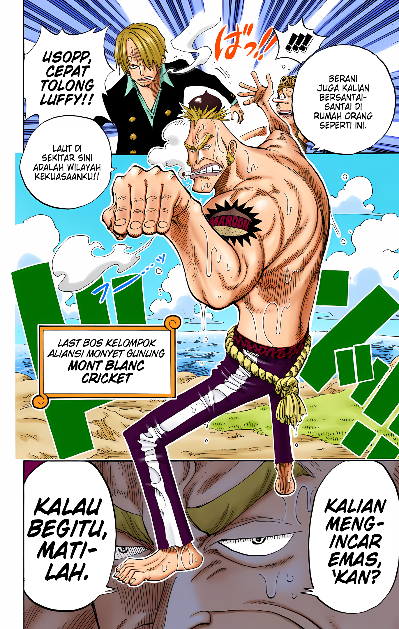One Piece (Official Colored) Chapter 227 - halaman 18