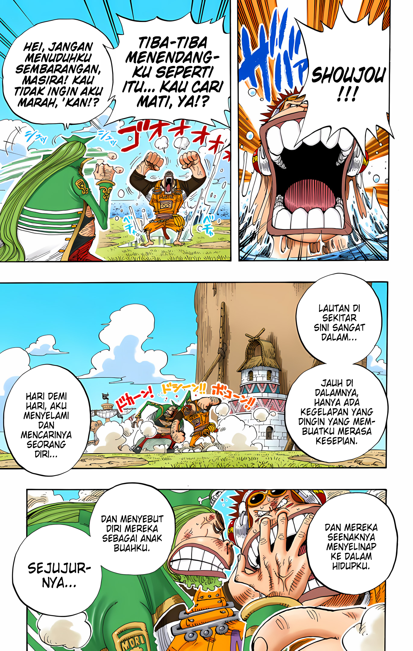 One Piece (Official Colored) Chapter 228 - halaman 15