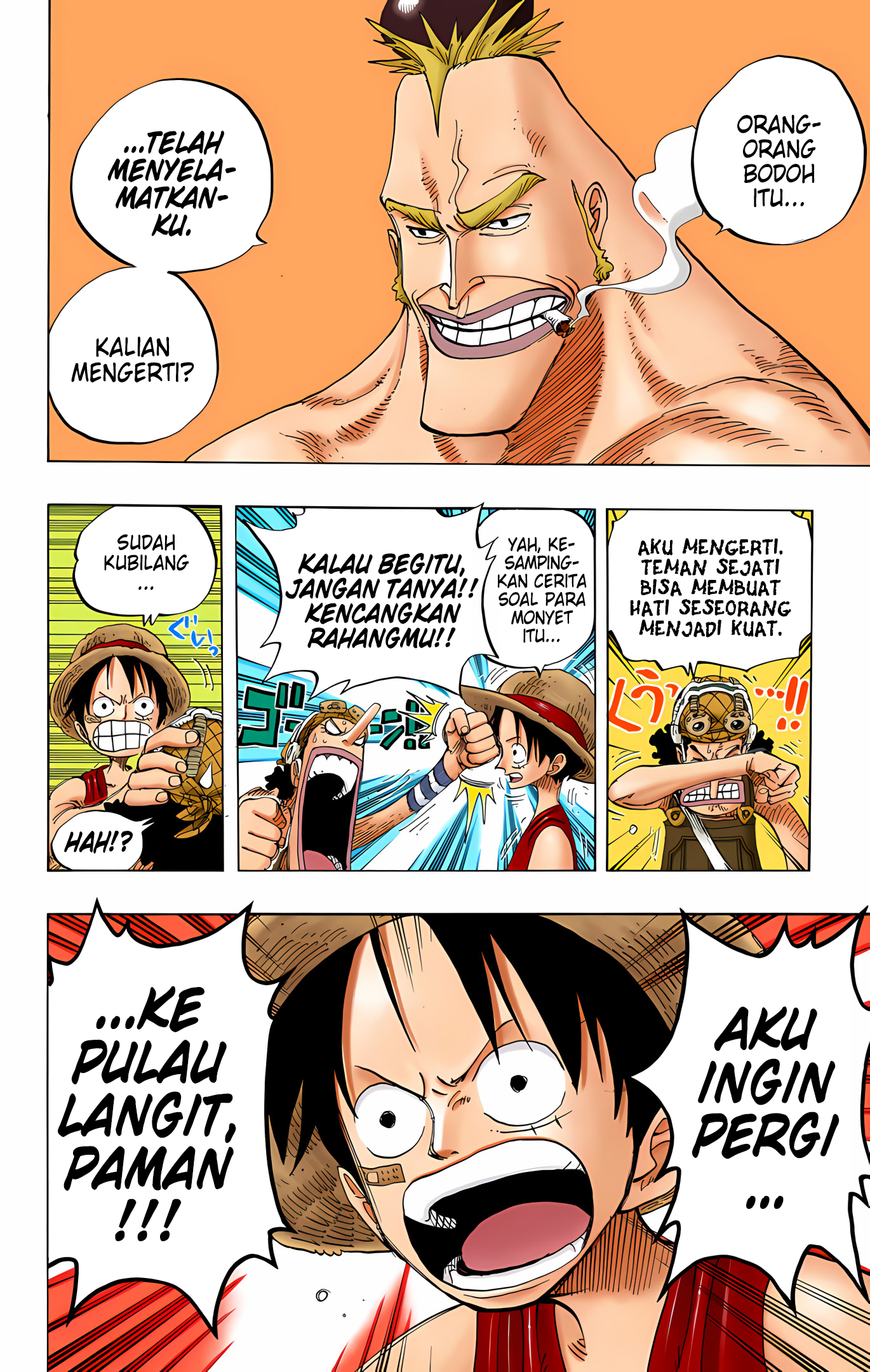 One Piece (Official Colored) Chapter 228 - halaman 16