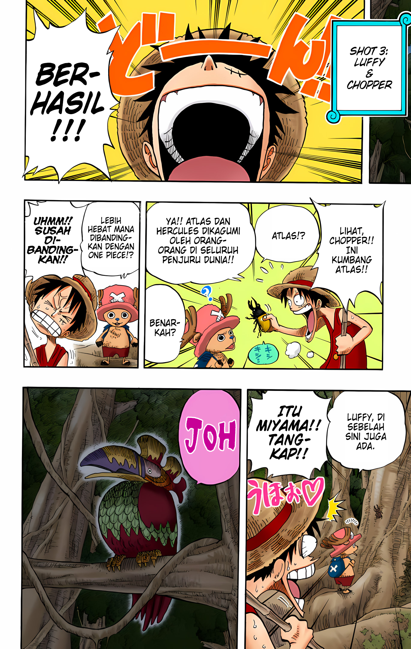 One Piece (Official Colored) Chapter 230 - halaman 16