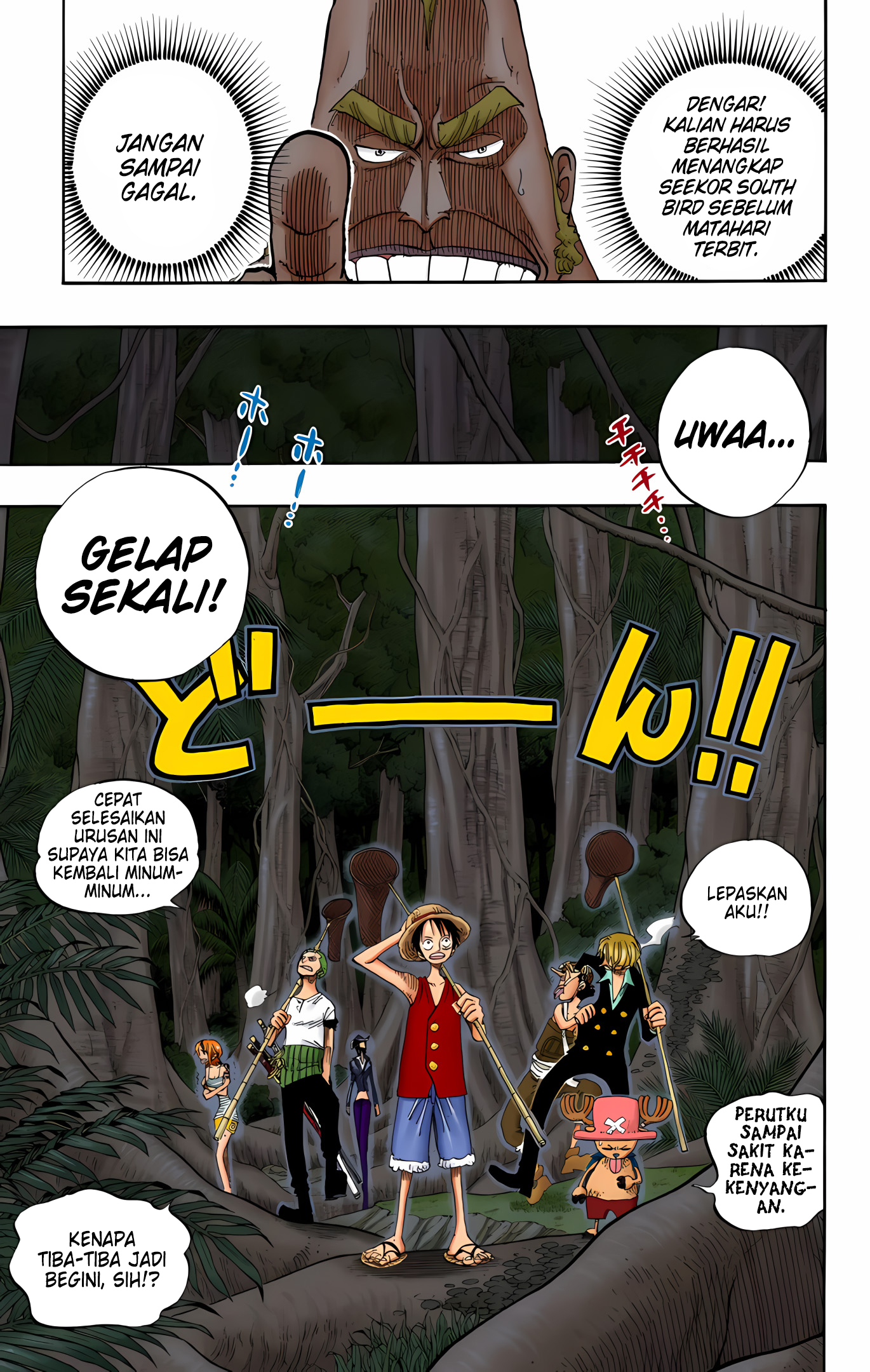 One Piece (Official Colored) Chapter 230 - halaman 9